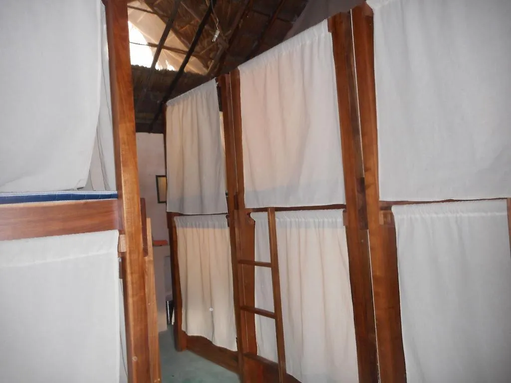 Chill Inn Hostel Τουλούμ Μεξικό